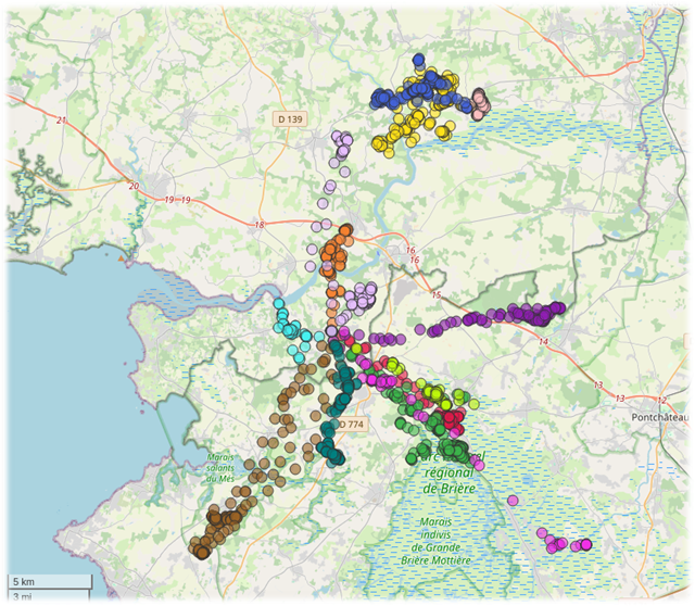 Distribution of GPS data points from 33 nights of tracking 13 individuals (each colour corresponds to a different individual) captured in 2 different colonies.