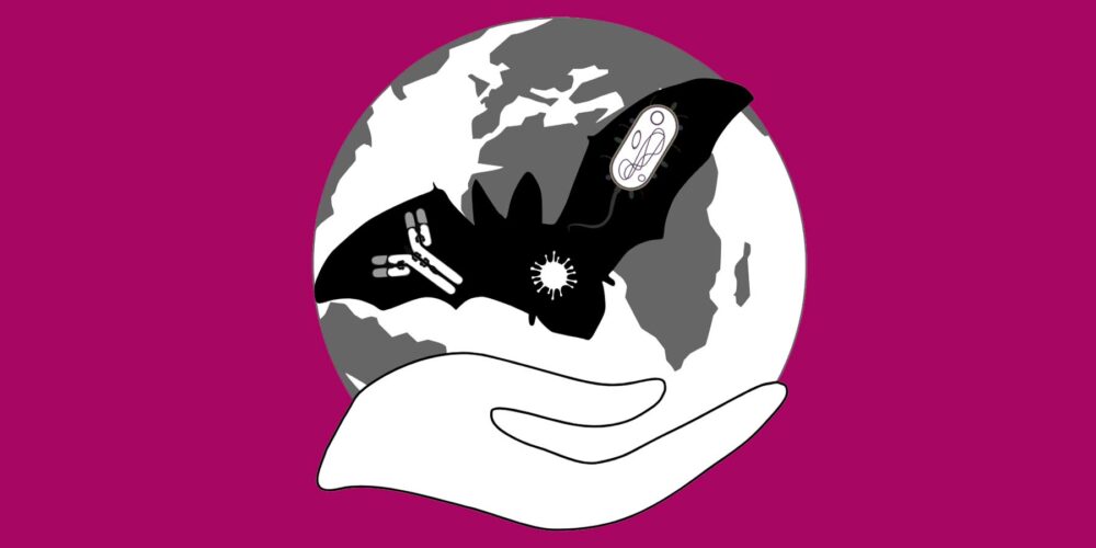 An illustration of a bat with skeletal and microbial imagery on its wings, flying above a hand and a globe, set against a magenta background.