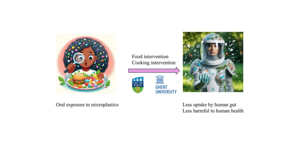 This image illustrates the need for food and cooking intervention to address oral exposure to microplastics.