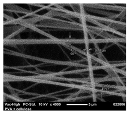 Figure 4. SEM images of PVA nanofiber membranes collected on a base layer using a rotating drum collector