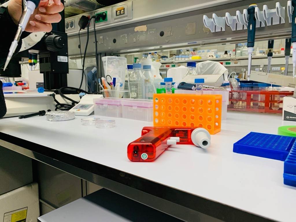 Preparing the oocytes. January 2025. Preparing the oocytes. January 2025.