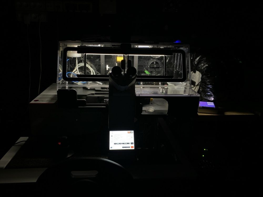 Image 1. Time-lapse microscope platform.